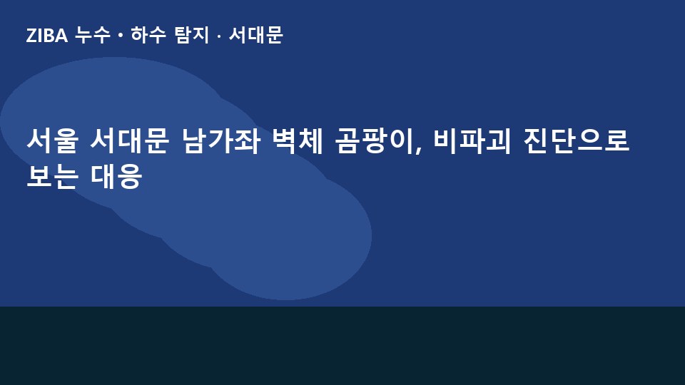 서울 서대문 남가좌 벽체 곰팡이, 비파괴 진단으로 보는 대응
