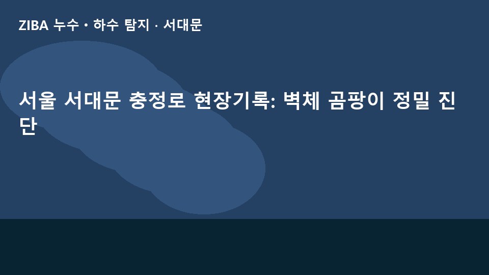 서울 서대문 충정로 현장기록: 벽체 곰팡이 정밀 진단